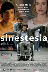 Синестезия 2010, Швейцария постер