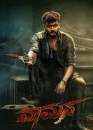 Vaamana постер