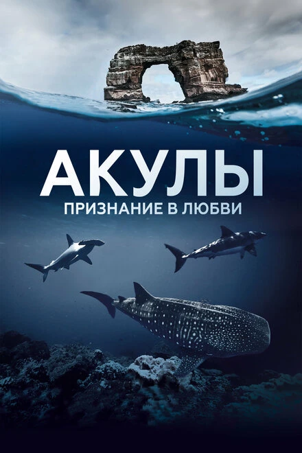 Постер Акулы. Признание в любви 2022