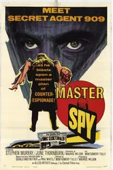 Master Spy постер