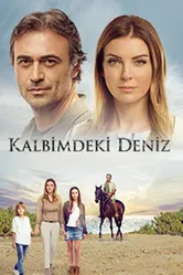 Дениз в моём сердце 2016 постер