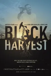 Black Harvest 2014 постер
