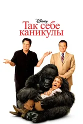 Так себе каникулы 2009 постер