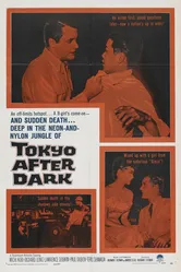 Tokyo After Dark постер