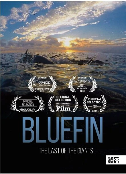 Постер Bluefin