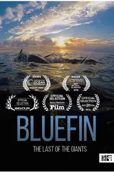 Bluefin постер