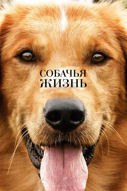 Постер Собачья жизнь 2017