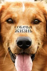 Собачья жизнь 2017 постер
