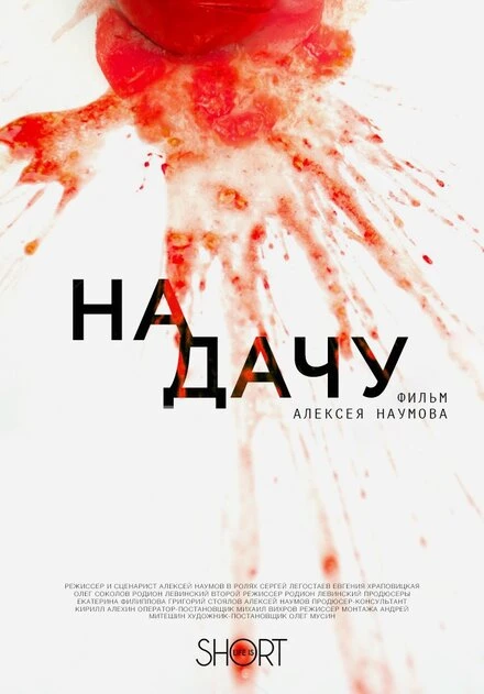 Постер На дачу 2016