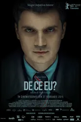 Почему я? 2015 постер