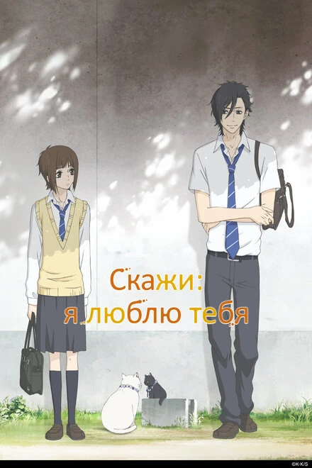Постер Скажи: я люблю тебя 2012