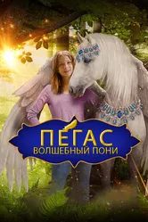 Пегас: Волшебный пони 2019 постер