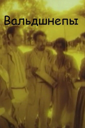 Постер Вальдшнепы 1996