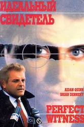 Идеальный свидетель 1989 постер