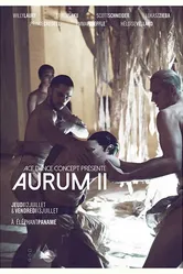 Aurum II постер