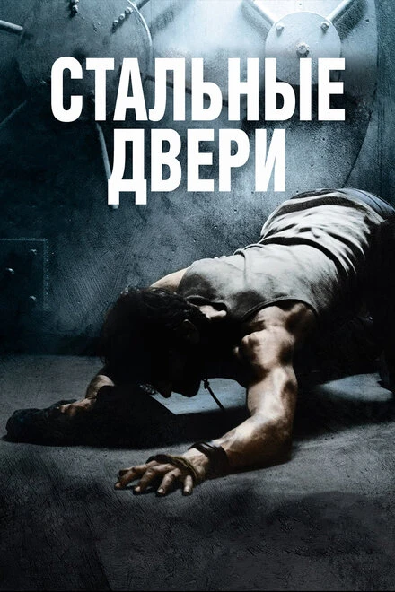 Постер Стальные двери 2010