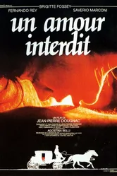 Запретная любовь 1984, Франция постер