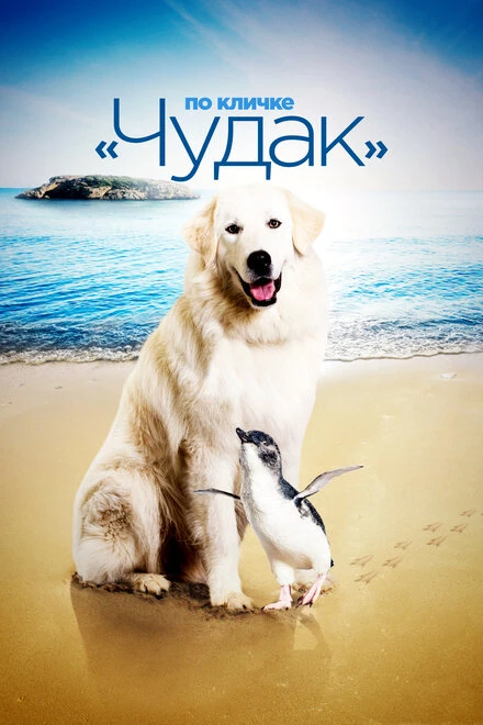 Постер По кличке «Чудак» 2015