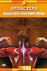 Discovery: Атлас тела 1994 постер