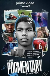 The Pogmentary постер