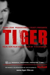 Тигр 2006 постер