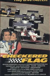 Разноцветный флаг 1991 постер