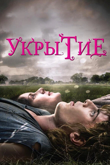 Постер Укрытие 2011, Ирландия