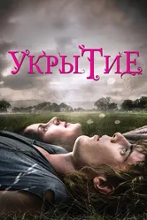 Укрытие 2011, Ирландия постер