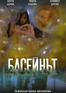 Бассейн 1977 постер
