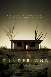 The Sunderland Experiment постер