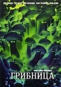 Постер Грибница 2002