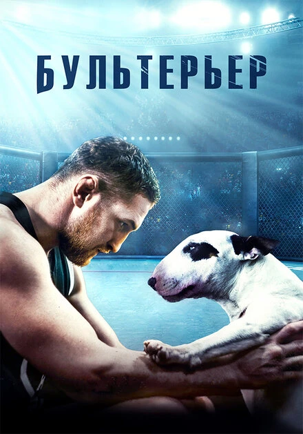 Постер Бультерьер 2022