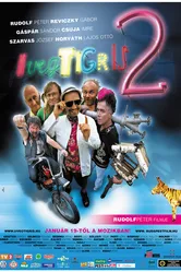 Стеклянный тигр 2 2006 постер