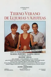 Ласковое лето страсти и открытых террас 1993 постер