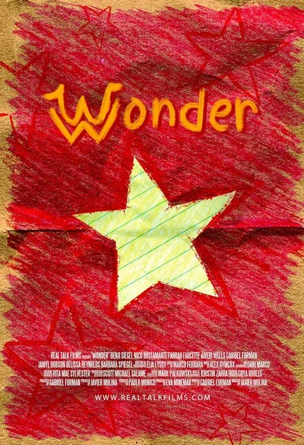 Постер Wonder 2019