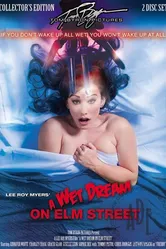 Влажные мечты на улице Вязов 2011 постер