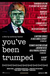 Вас трампировали 2011 постер