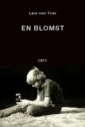 Цветок 1971 постер