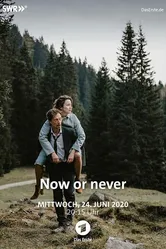 Сейчас или никогда 2019 постер