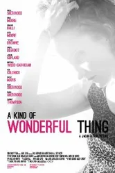 A Kind of Wonderful Thing постер