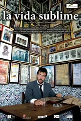 Блистательная жизнь 2010 постер