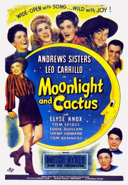 Постер Moonlight and Cactus