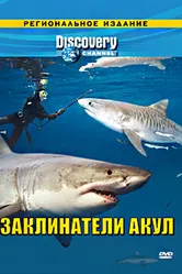 Discovery: Заклинатели акул 2007 постер