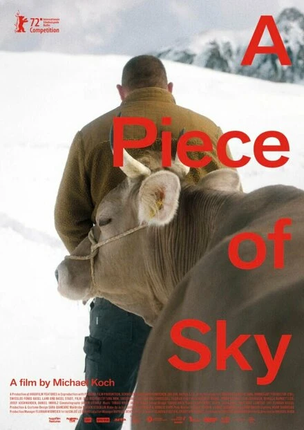 Постер Кусочек неба 2022
