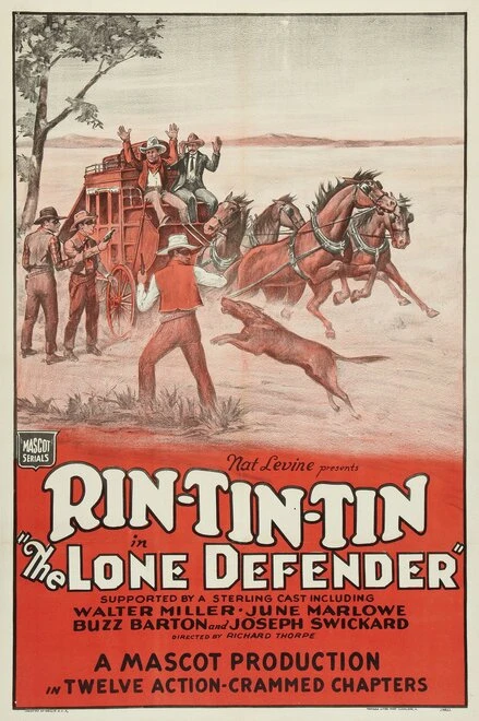 Постер The Lone Defender