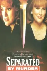 Разделенные убийством 1994 постер