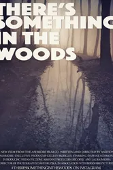 There's Something in The Woods постер