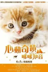 Нэконадэ 2008 постер