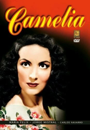 Постер Камелия 1954
