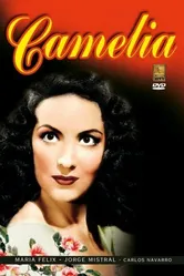 Камелия 1954 постер